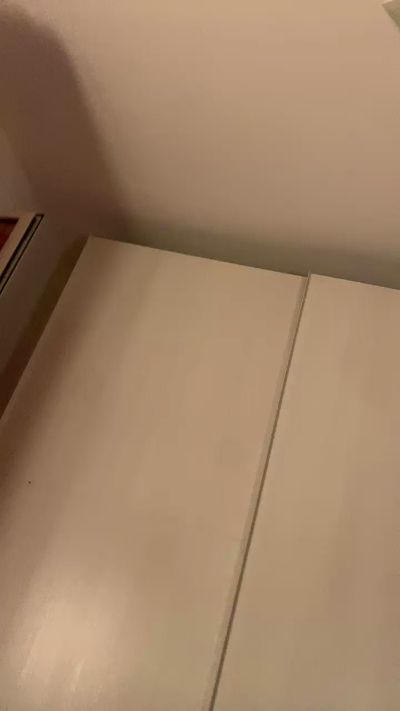 AleeNico82's Profile