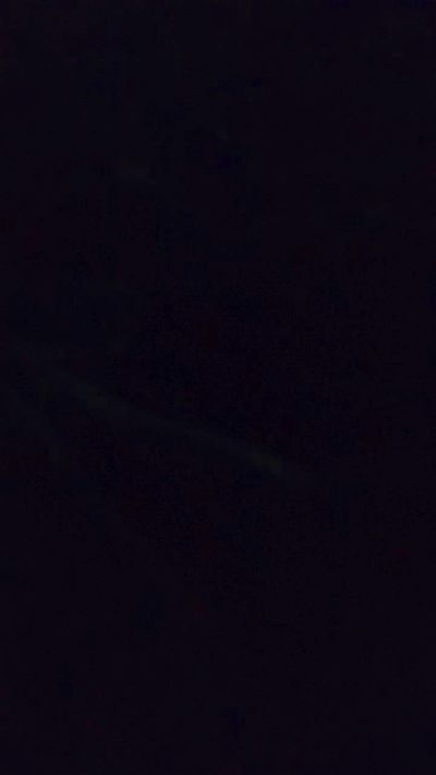 Boniket's Profile