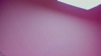 Dhara_cloy1's Profile