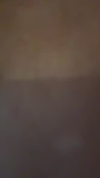Elisabettafoor's Profile