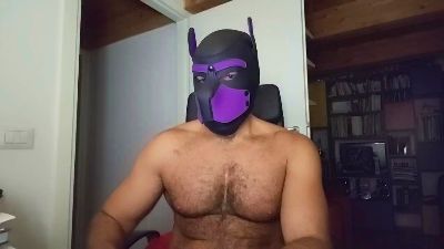 Hairypuppy82's Profile