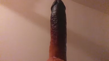 HorsexX's Profile