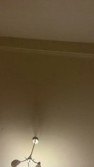 Janitorasta30's Profile