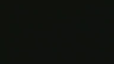 Leocesar37's Profile