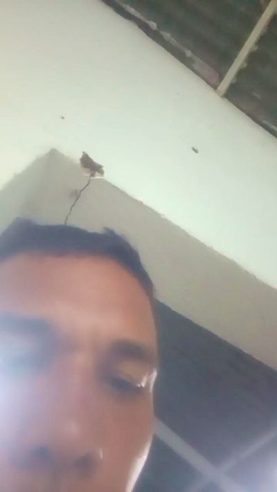 MOSTERMATADOR26's Profile