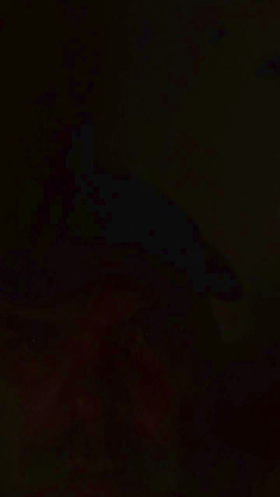 Maik909's Profile