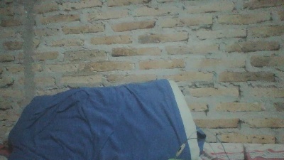 REbMO's Profile