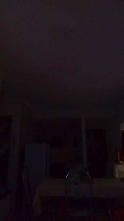Transputinha83's Profile