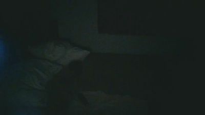 amante_tua's Profile
