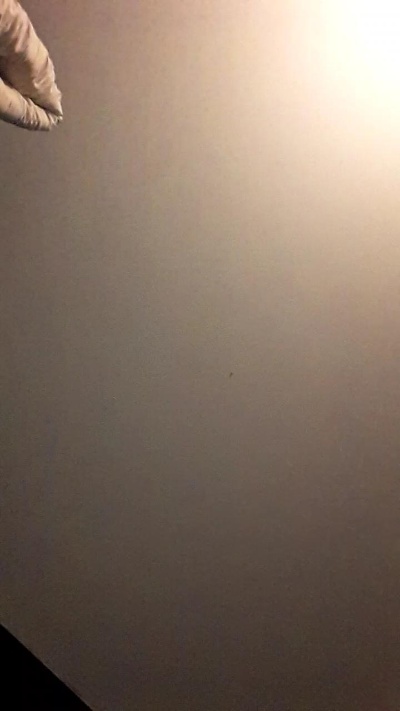 hunghairy_xxx Profile Image