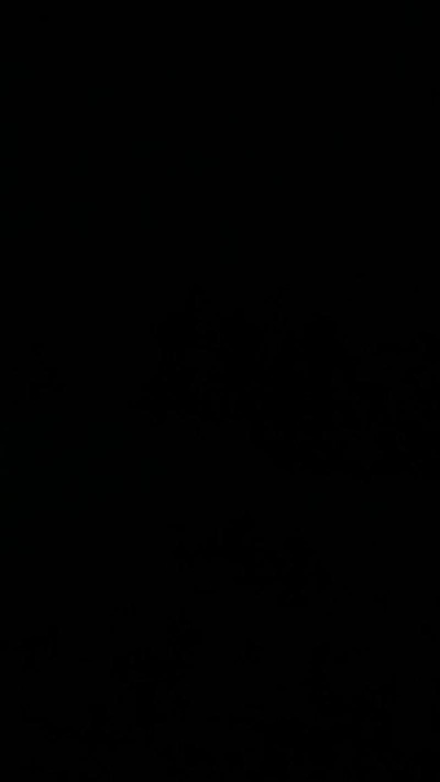 hxhlouco's Profile