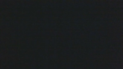 jovipol331's Profile