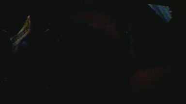 julinhor's Profile