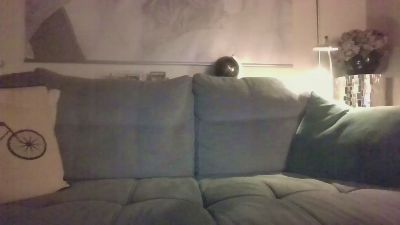 misteriusone's Profile