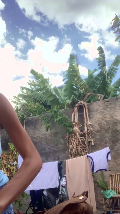 natysapequinha's Profile