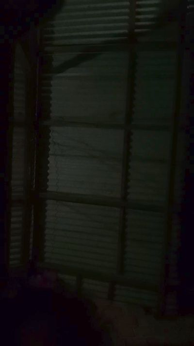 pimentinha54's Profile