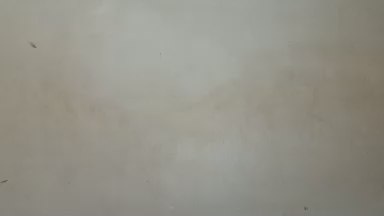 royblackbig's Profile