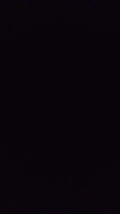 sealsfun's Profile