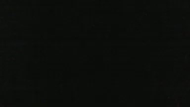 siriusfox3's Profile