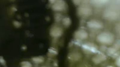 sweetsx24's Profile