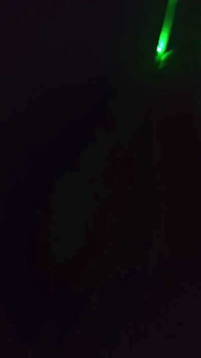 tovinaver's Profile